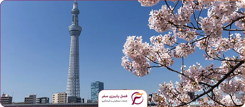 برج اسکای تری توکیو