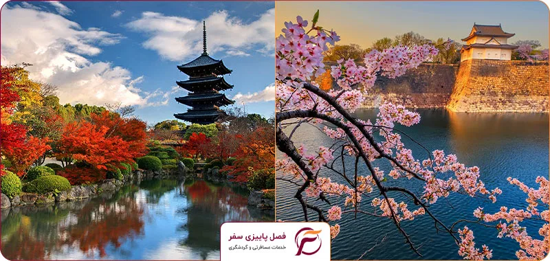 آب و هوای ژاپن